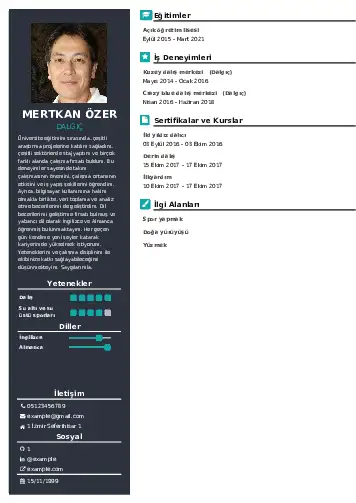 Dalgıç CV Örnekleri cv indir